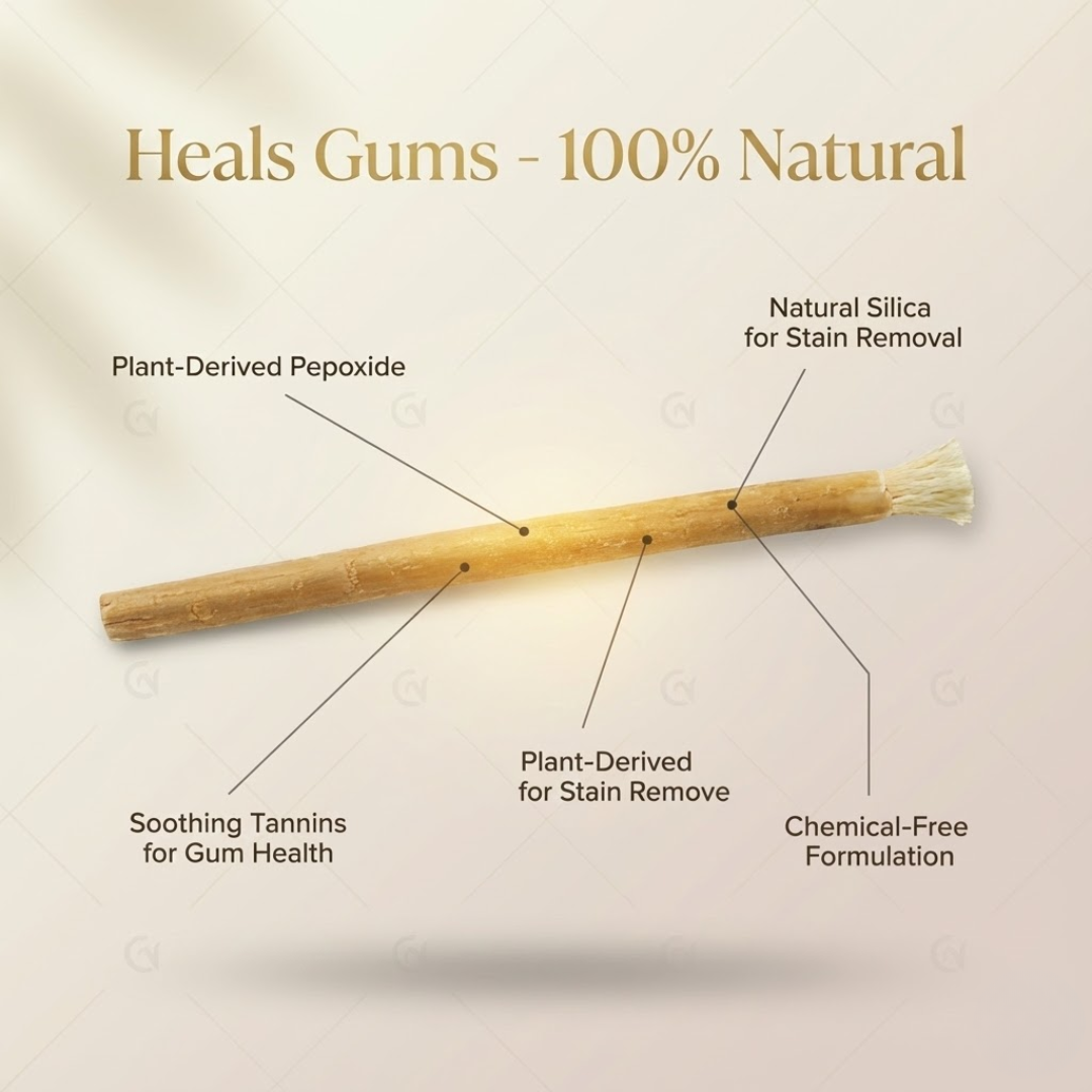 Miswak Natural Teeth Whitening