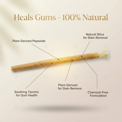 Miswak Natural Teeth Whitening